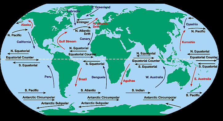 Gyres and Surface Currents