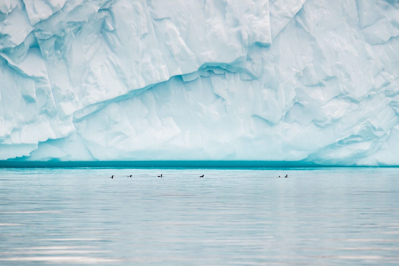 Fascinating Facts About the Arctic Ocean