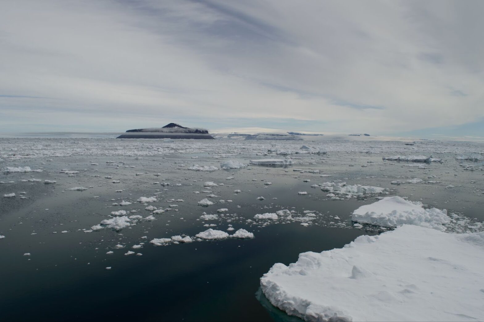 Ice floes in the ocean