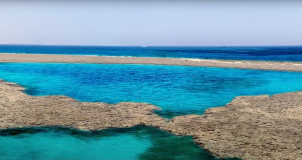 Red Sea Coral Reefs