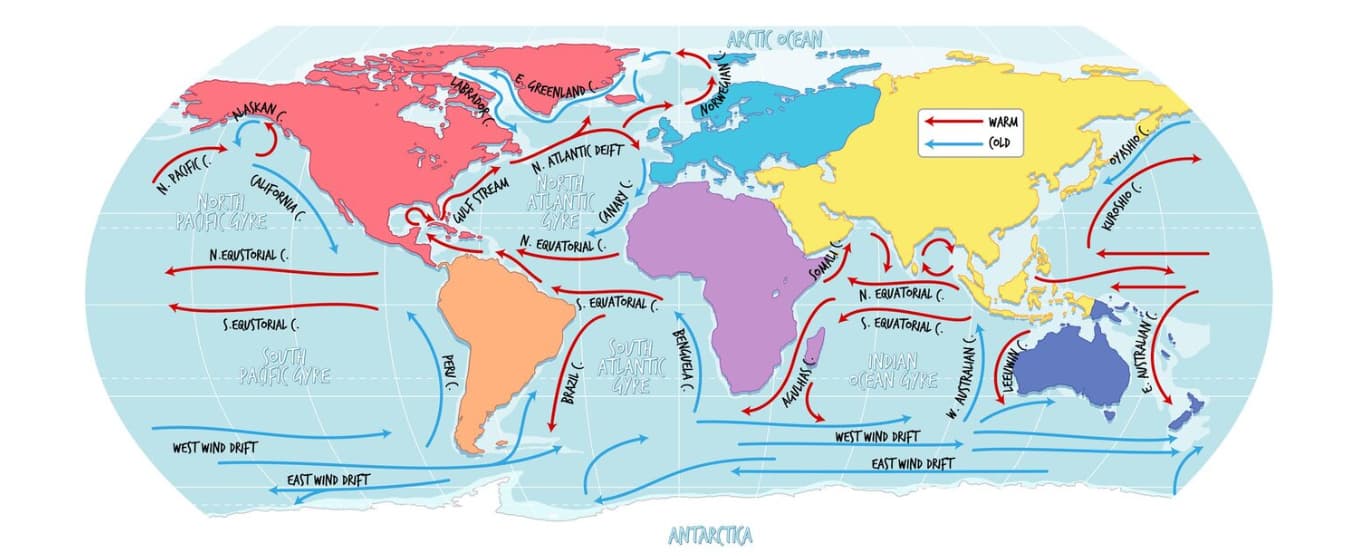 Map illustrating the major ocean currents and gyres