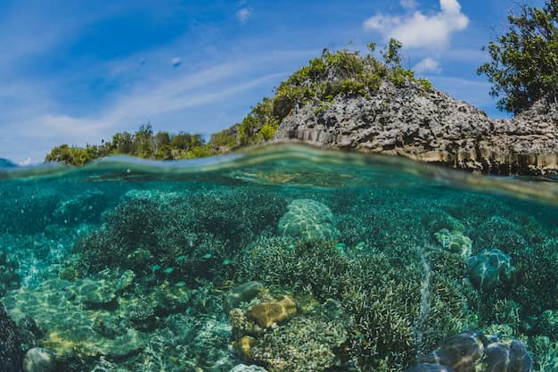 Island with reefs underwater