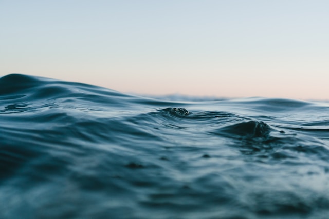 Unlocking the Depths of Ocean Data: Navigating Through the Ocean Data Portal