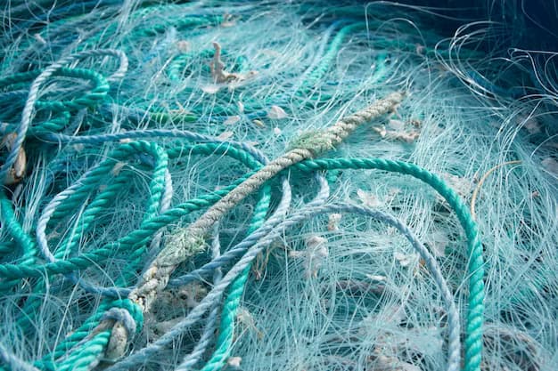Fishing nets