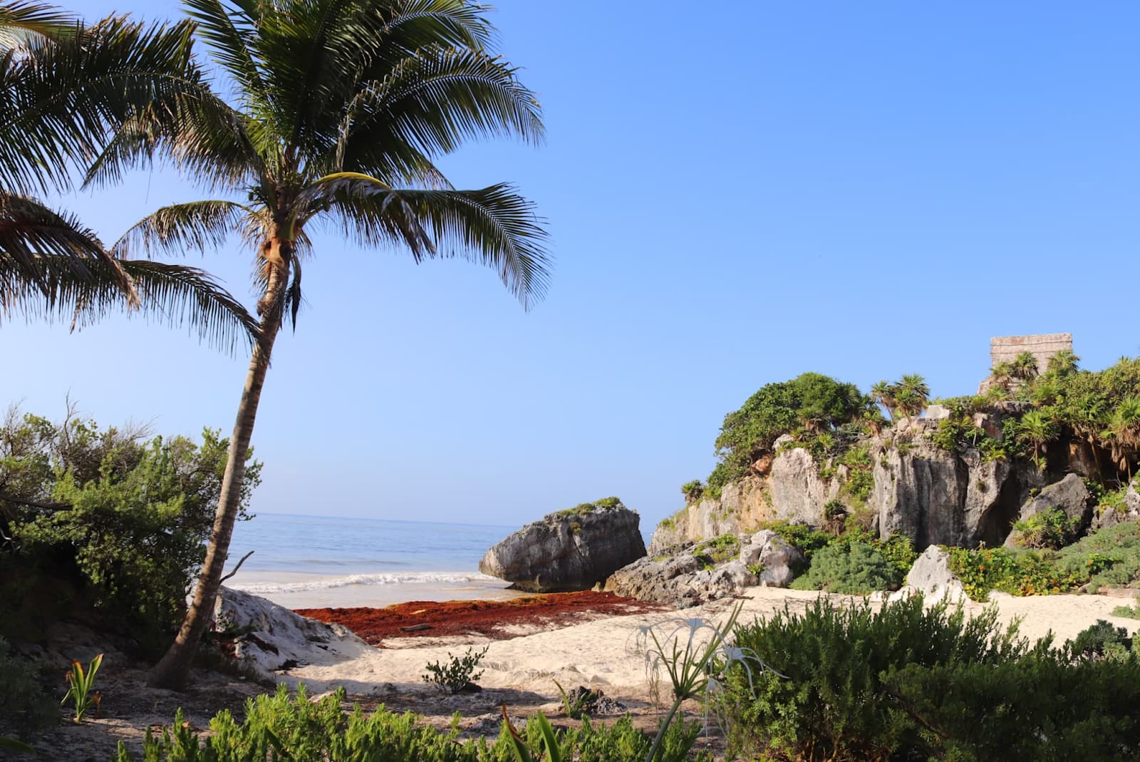 Digital Detox or Tech-Enhanced Relaxation? Finding Balance on the Ocean Shore